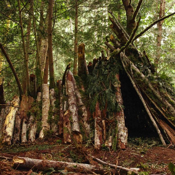 Shelter Building