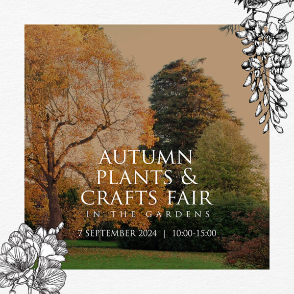 Autumn Plants & Crafts Fair September 2024