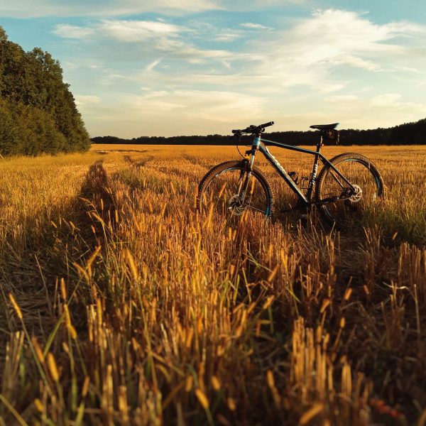Fritton Cycle Hire
